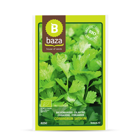 Seminte de Ierburi - seminte-coriandru-coriandrum-sativum-plic-2-5g-pepiniera-sibiu