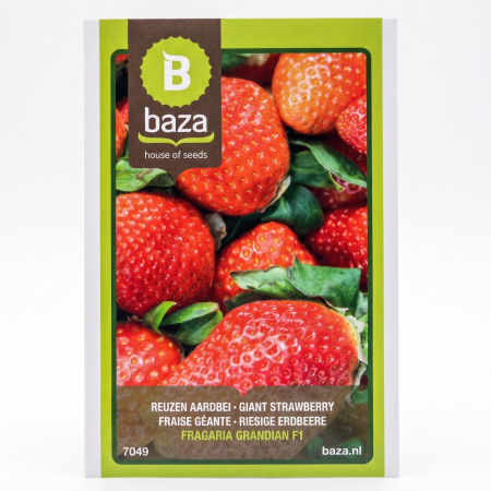 Seminte de Legume/Fructe - seminte-capsuni-temptation-fragaria-7049-pepiniera-sibiu