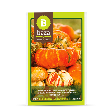 Seminte de Legume/Fructe - seminte-dovleac-decorativ-turbanul-turcesc-turkse-muts-6922-pepiniera-sibiu