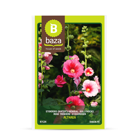 Seminte și Bulbi - seminte-nalba-gradina-althaea-rosea-mix-6124-pepiniera-sibiu