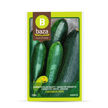 Seminte de Legume/Fructe - seminte-dovlecel-zucchini-black-beauty-cucurbita-pepo-7062-pepiniera-sibiu