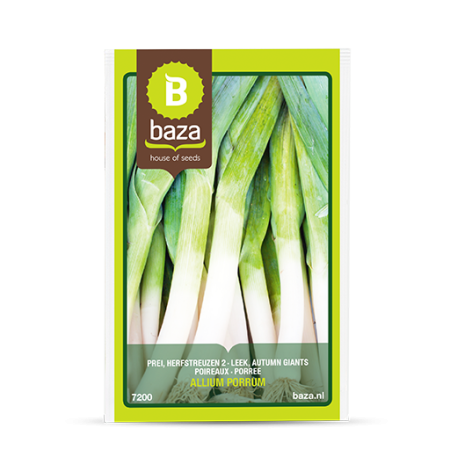 Seminte de Legume/Fructe - seminte-praz-blauwgroene-herfst-allium-porrum-7200-pepiniera-sibiu