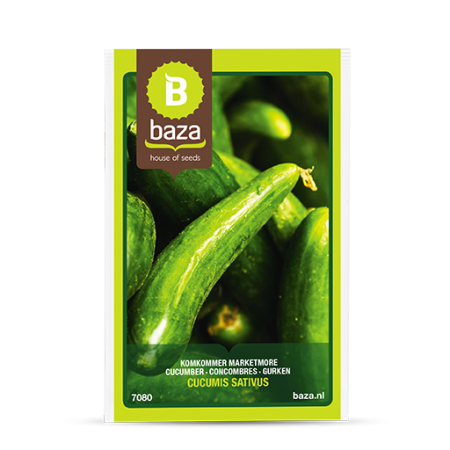 Seminte de Legume/Fructe - seminte-castraveti-cornichon-hokus-cucumis-sativus-7080-pepiniera-sibiu