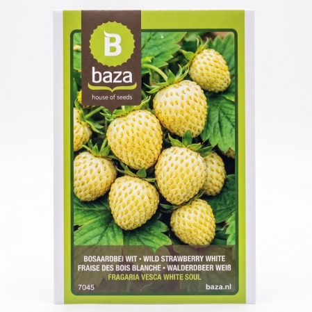 Seminte de Legume/Fructe - seminte-fragi-de-padure-fragaria-vesca-7045-pepiniera-sibiu