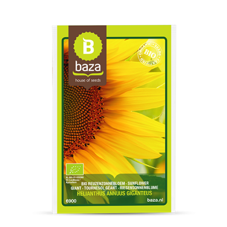 Seminte - Seminte - Helianthus Annuus Giganteus - 6900