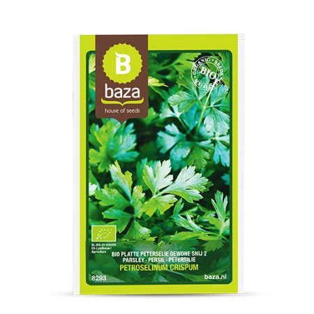 Seminte de Ierburi - seminte-patrunjel-frunza-petroselinum-crispum-8293-pepiniera-sibiu