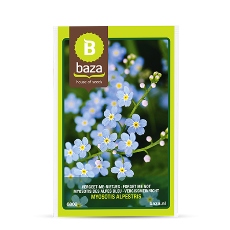 Seminte și Bulbi - seminte-nu-ma-uita-myosotis-alpestris-indigo-blue-6800-pepiniera-sibiu