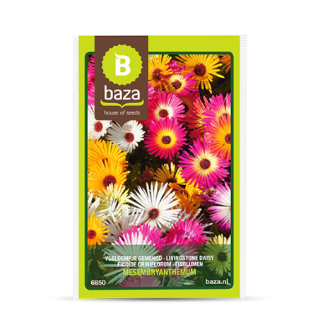 Seminte - Seminte - Margareta Livingstone - 6850