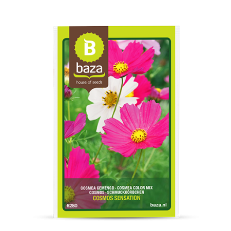 Seminte și Bulbi - seminte-cosmos-bipinnatus-sensation-mix-6280-pepiniera-sibiu