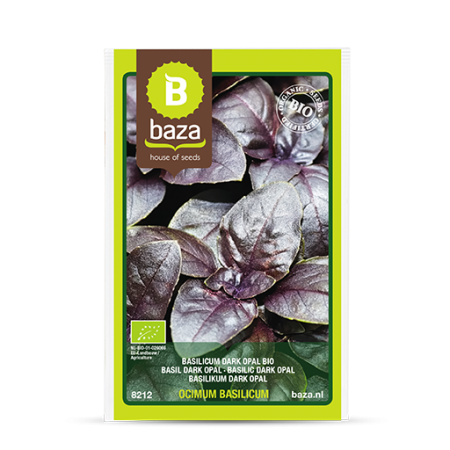 Seminte de Ierburi - seminte-busuioc-genovese-ocimum-basilicum-8212-pepiniera-sibiu