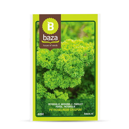 Seminte de Ierburi - seminte-patrunjel-cret-petroselinum-crispum-8292-pepiniera-sibiu