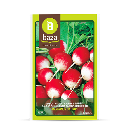 Seminte de Legume/Fructe - seminte-ridichi-de-luna-saxa-2-raphanus-sativus-7230-pepiniera-sibiu