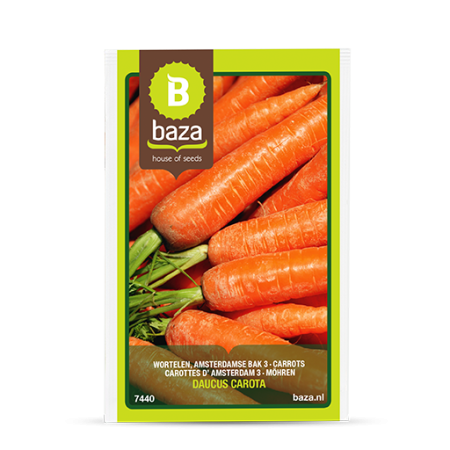 Seminte de Legume/Fructe - seminte-morcov-nantes-2-daucus-carota-7440-pepiniera-sibiu