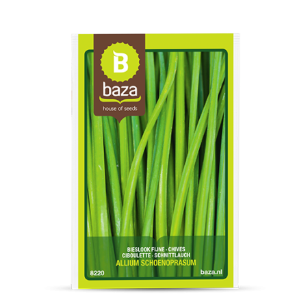 Seminte de Ierburi - seminte-ciboulette-arpagic-frunza-allium-schoenoprasum-8220-pepiniera-sibiu