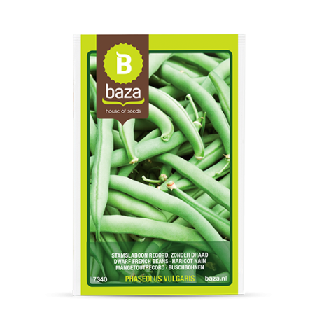 Seminte de Legume/Fructe - seminte-fasole-pitica-record-phaseolus-vulgaris-7340-pepiniera-sibiu
