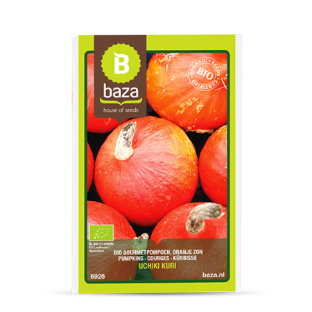 Seminte de Legume/Fructe - seminte-dovleac-hokkaido-uchiki-kuri-cucurbita-maxima-6926-pepiniera-sibiu