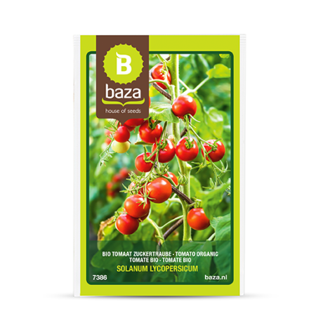 Seminte de Legume/Fructe - seminte-tomate-cherry-rosii-bio-solanum-lycopersicum-7386-pepiniera-sibiu