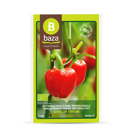 Seminte de Legume/Fructe - seminte-ardei-gras-california-wonder-capsicum-annuum-7290-pepiniera-sibiu.