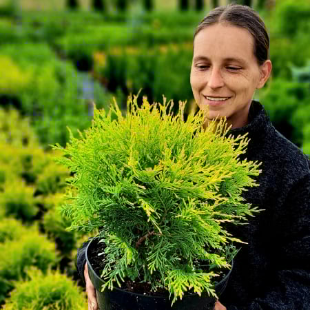 TUIA Golden Globe - 5L [1]