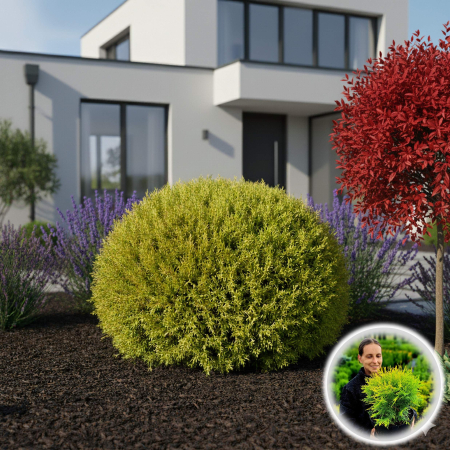 TUIA Golden Globe - 5L [2]