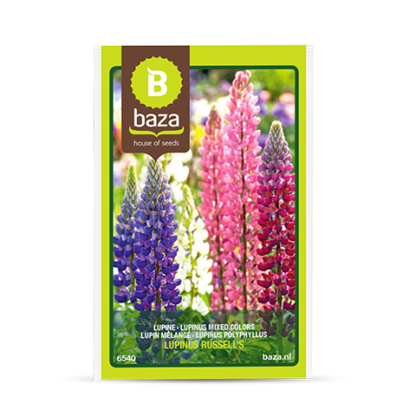 Seminte - Seminte de Lupinus - Culori Mixte