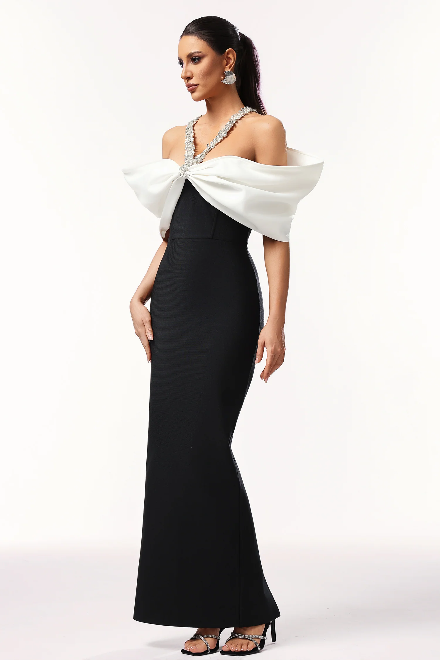 ROCHII LUNGI - ROCHIE LUNGA DE SEARA LUCIA