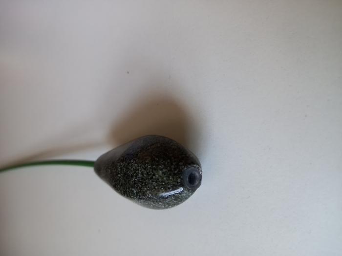 Plumb long cast culisant [2]