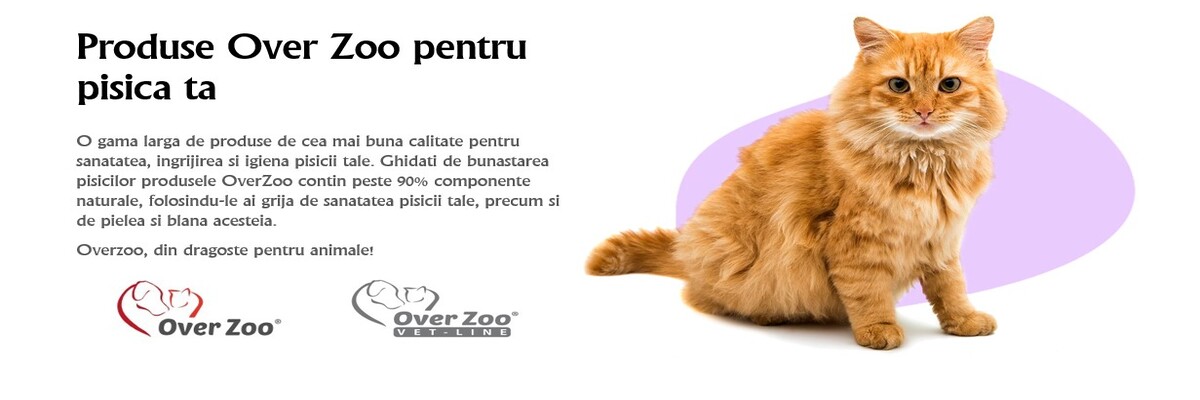Over Zoo Pisici