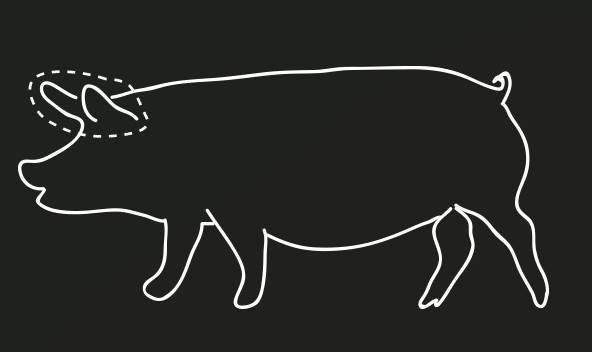 Urechi de Porc JACK 100% natural, 2 buc [3]