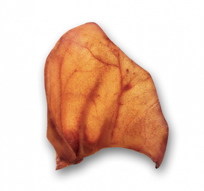 Urechi de Porc JACK 100% natural, 2 buc [2]