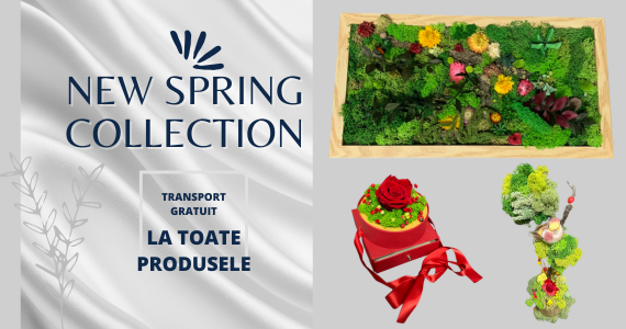 Campanie specială: transport gratuit pentru tine!