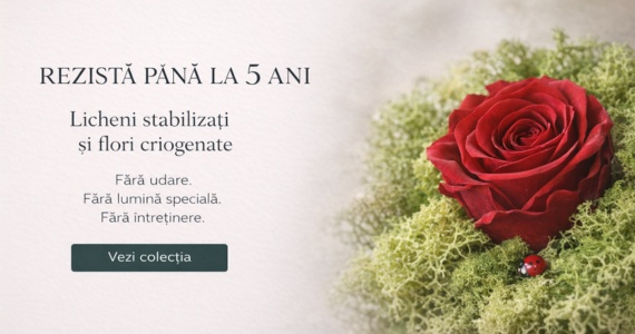 REZISTA PANA LA 5 ANI!