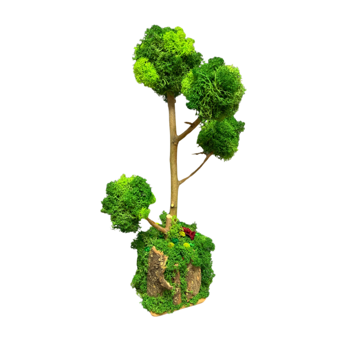 Bonsai Natural Handmade cu Licheni Stabilizați – Eleganță Verde în Casa Ta [3]