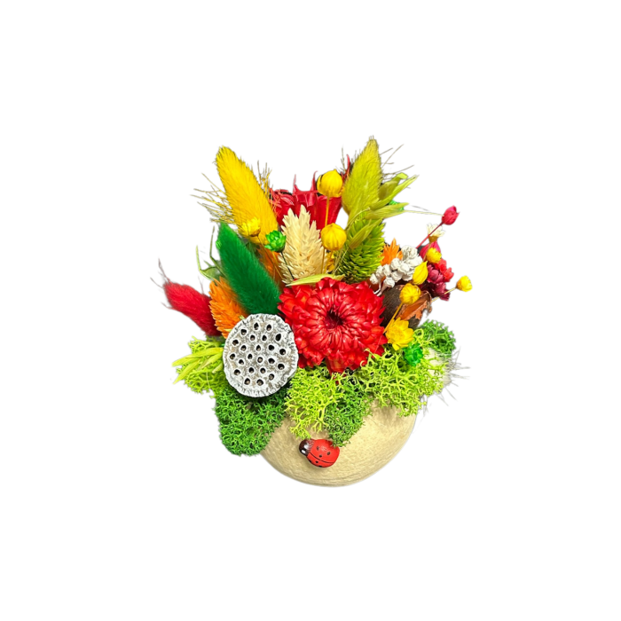 Căsuța Buburuzelor – Mărțișor Handmade cu Flori Naturale și Mușchi Stabilizat [2]