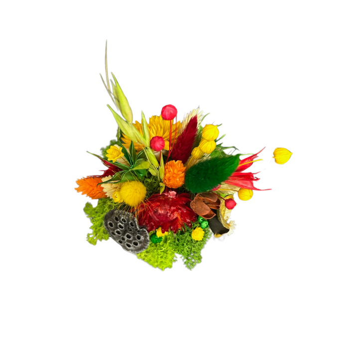 Căsuța Buburuzelor – Mărțișor Handmade cu Flori Naturale și Mușchi Stabilizat [4]