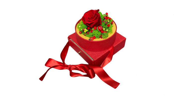 Cutie Cadou cu Trandafir Criogenat și Licheni Stabilizați - Eleganță în Roșu [5]