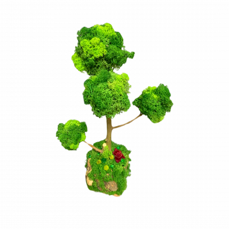 Bonsai Natural Handmade cu Licheni Stabilizați – Eleganță Verde în Casa Ta [3]