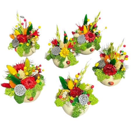 Aranjamente florale - Căsuța Buburuzelor – Mărțișor Handmade cu Flori Naturale și Mușchi Stabilizat