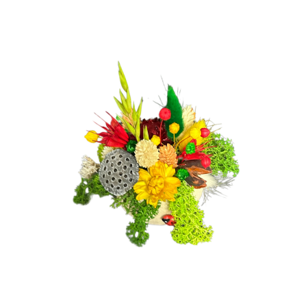 Căsuța Buburuzelor – Mărțișor Handmade cu Flori Naturale și Mușchi Stabilizat [2]