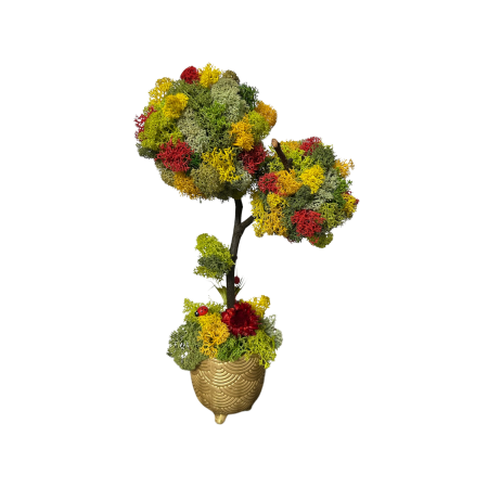 Aranjamente florale - Arbore decorativ handmade cu mușchi stabilizat și ghiveci pictat manual