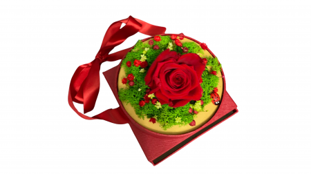 Cutie Cadou cu Trandafir Criogenat și Licheni Stabilizați - Eleganță în Roșu [3]