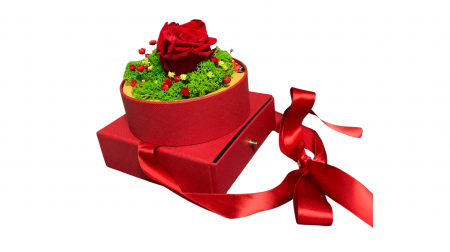 Cutie Cadou cu Trandafir Criogenat și Licheni Stabilizați - Eleganță în Roșu [5]