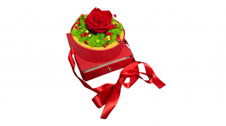 Cutie Cadou cu Trandafir Criogenat și Licheni Stabilizați - Eleganță în Roșu [2]