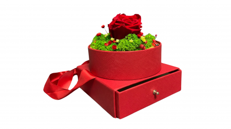 Cutie Cadou cu Trandafir Criogenat și Licheni Stabilizați - Eleganță în Roșu [1]