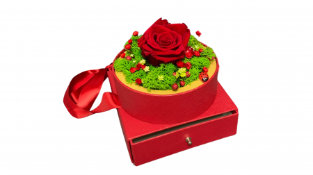 Cutie Cadou cu Trandafir Criogenat și Licheni Stabilizați - Eleganță în Roșu