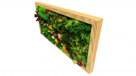 Tablou cu Licheni Stabilizați și Flori Naturale - Natură Vie în Rama Ta