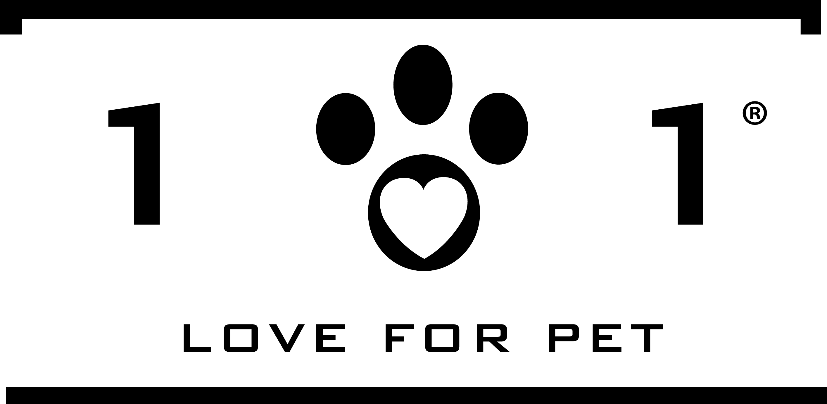 LINEA 101