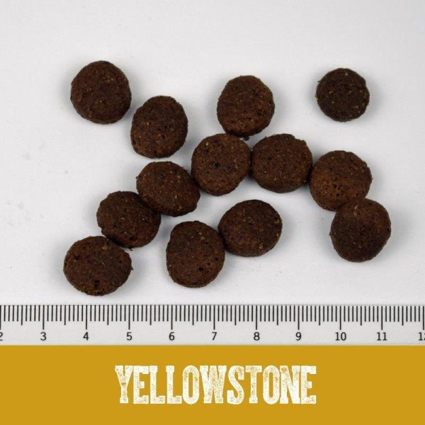 Black Canyon Dog Yellowstone Horse 1.5kg (Cal) [2]