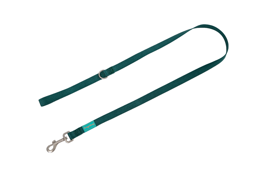 Freedog Basic Nylon Leash Green L 25mm x 120cm - Lesa [2]