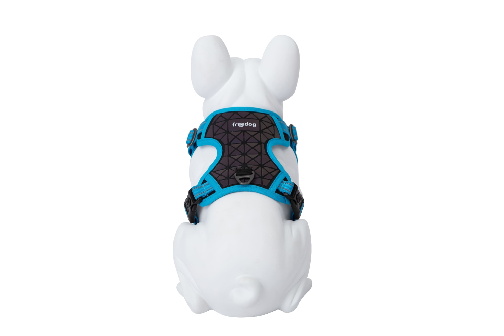 Freedog Boreal Harness Blue Capri L 25mm Neck 43/65cm Chest 45/90cm [3]